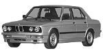 BMW E28 C3596 Fault Code